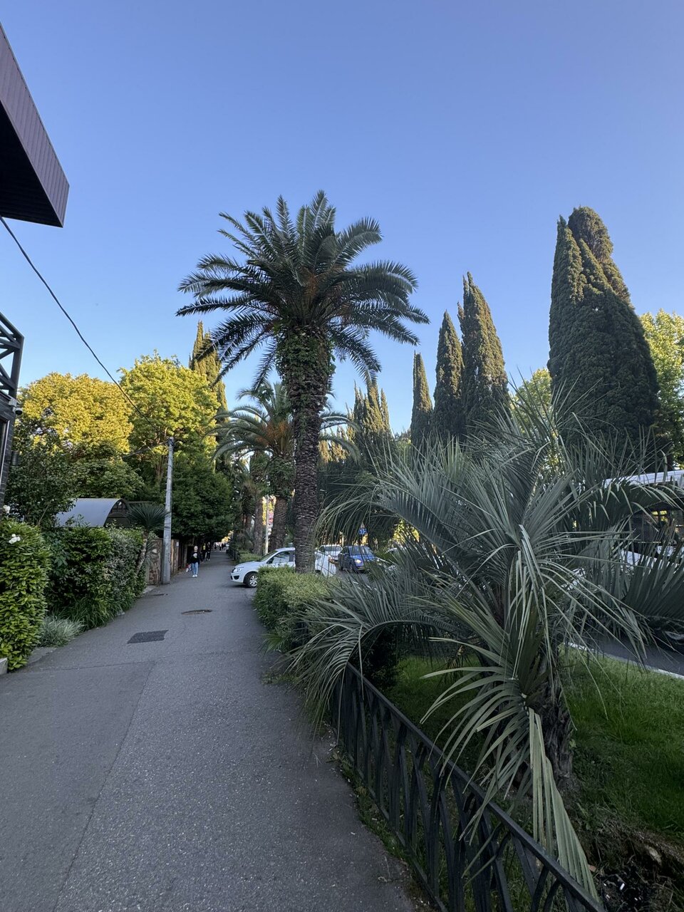 Гостиница Лавра Адлер-34