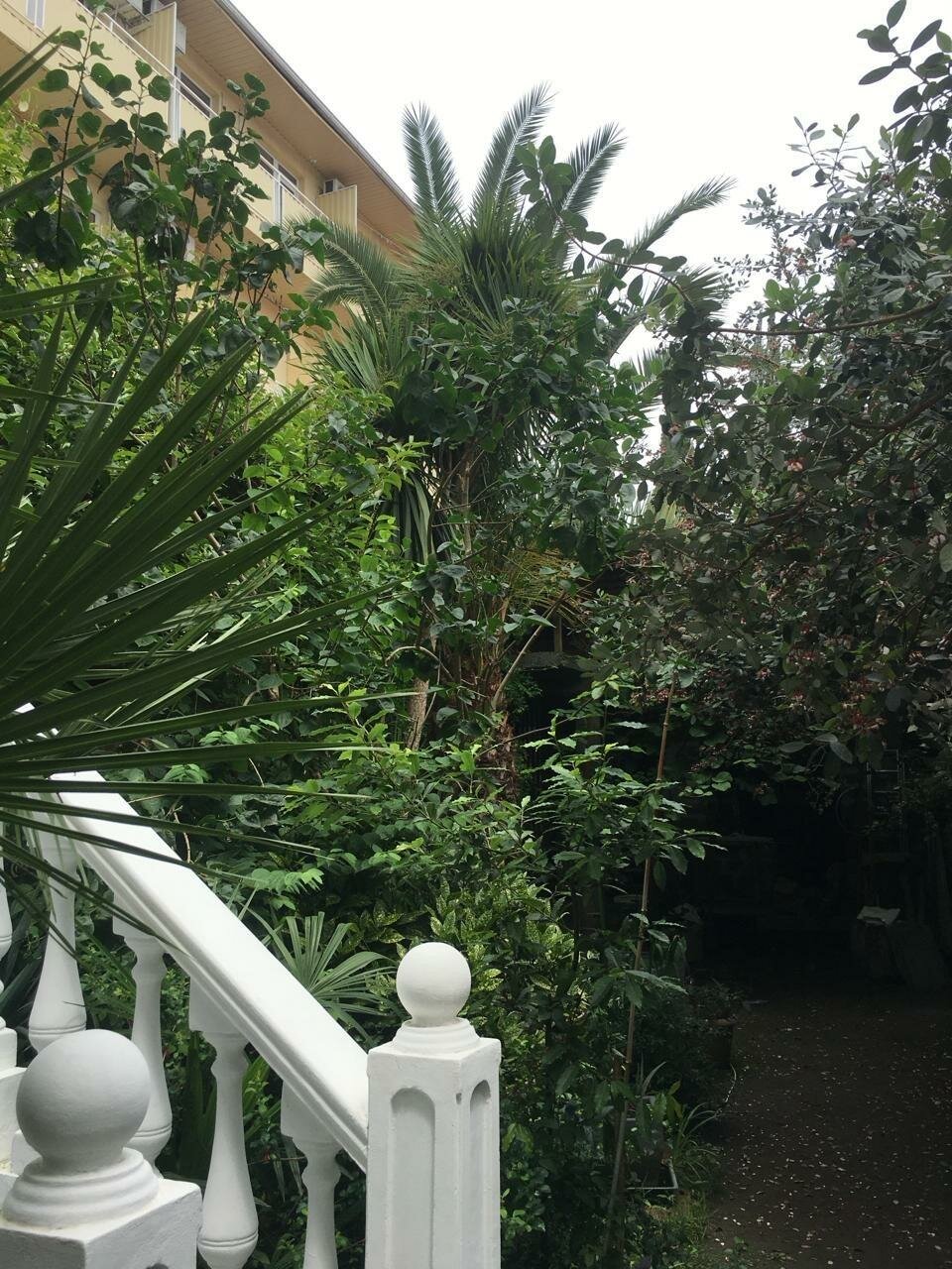 Гостиница Лавра Адлер-49