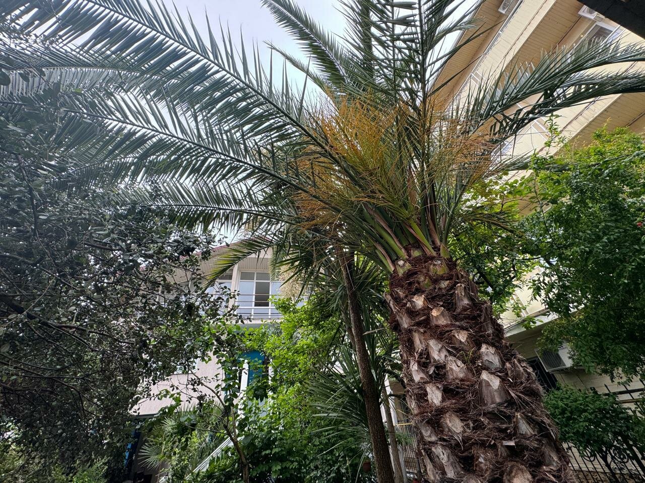 Гостиница Лавра Адлер-29