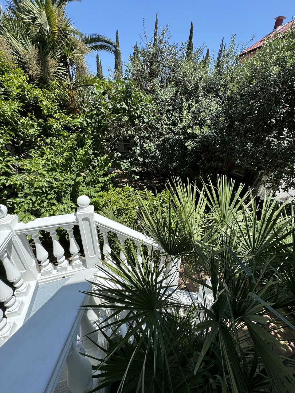 Гостиница Лавра Адлер-31