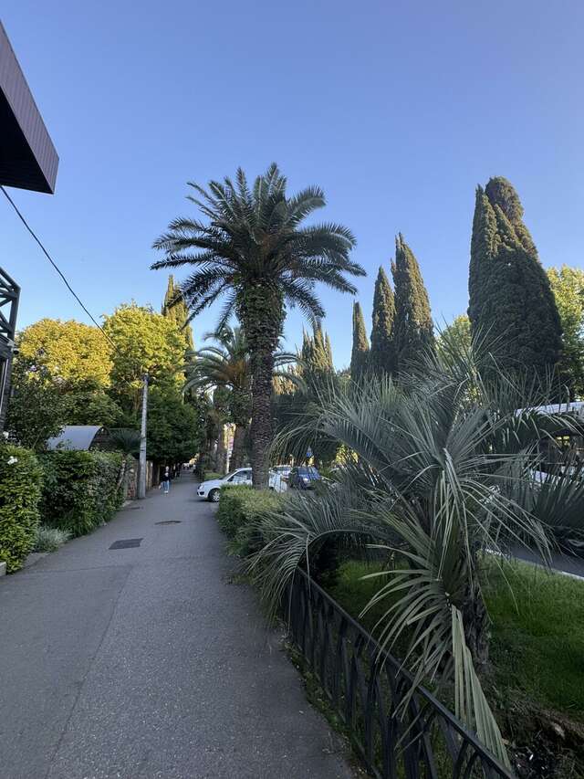 Гостиница Лавра Адлер-33