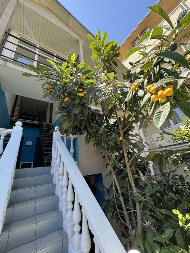 Гостиница Лавра Адлер-18